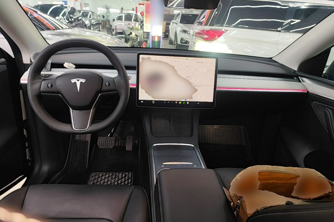 Tesla Model Y 2024 car image #15