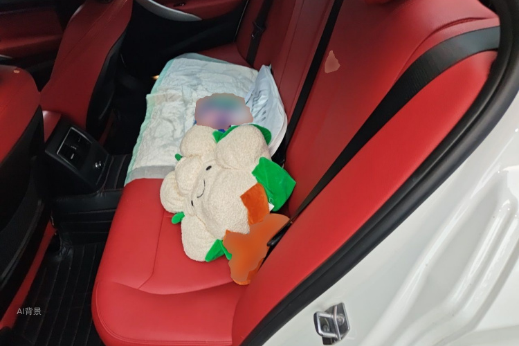 BMW 3 Series 2019 car image #19