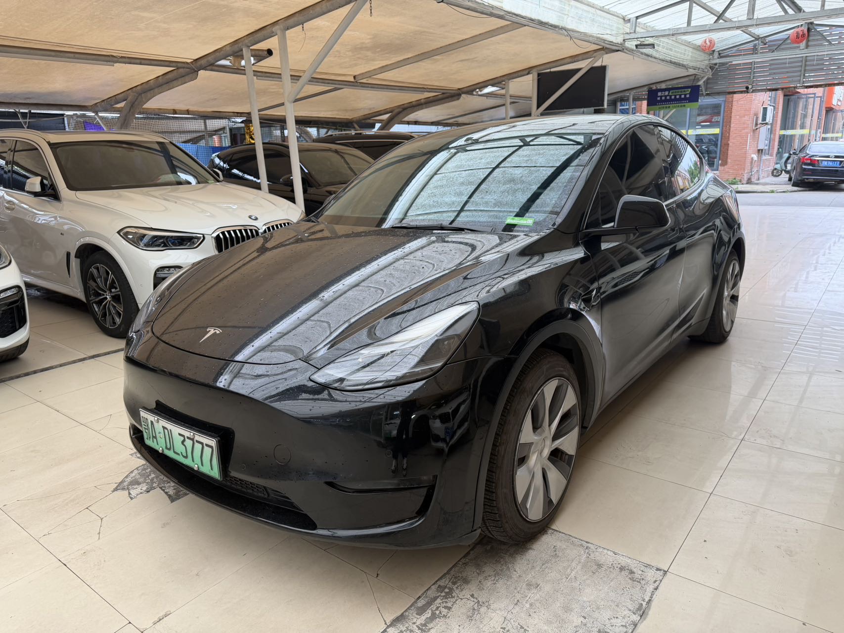 Tesla Model Y 2021 car image 