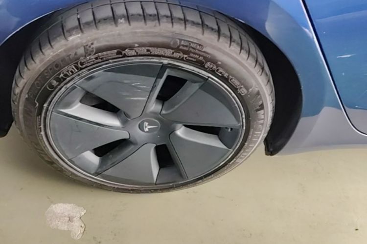 Tesla Model 3 2021 car image #10