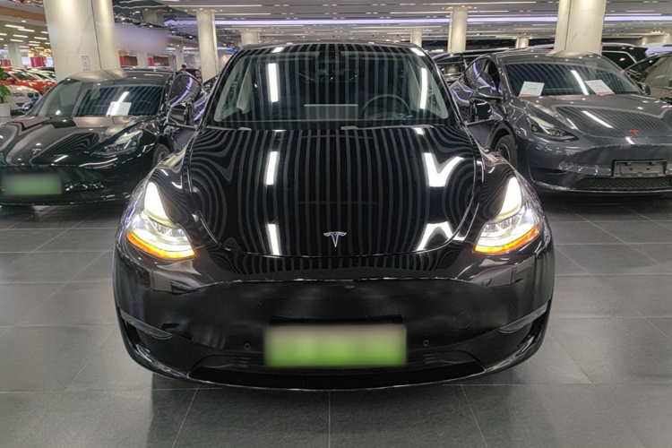 Tesla Model Y 2021 #3 Tesla Model Y 2021 car image #3