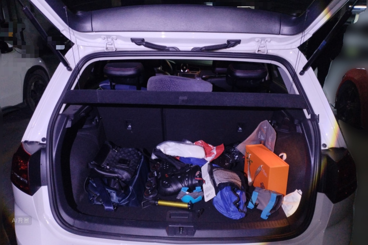 Volkswagen Golf 2017 car image #21
