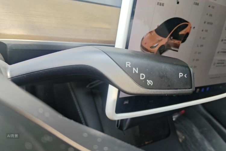 Tesla Model 3 2021 car image #16