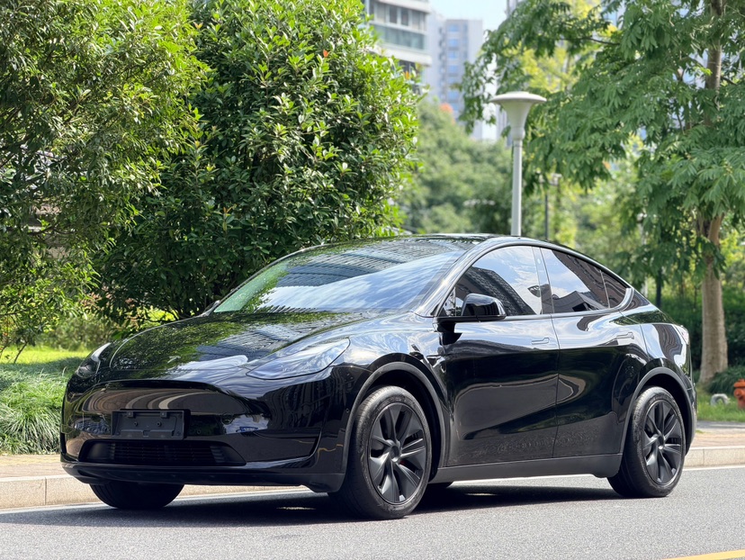 Tesla Model Y 2023 Tesla Model Y 2023 car image