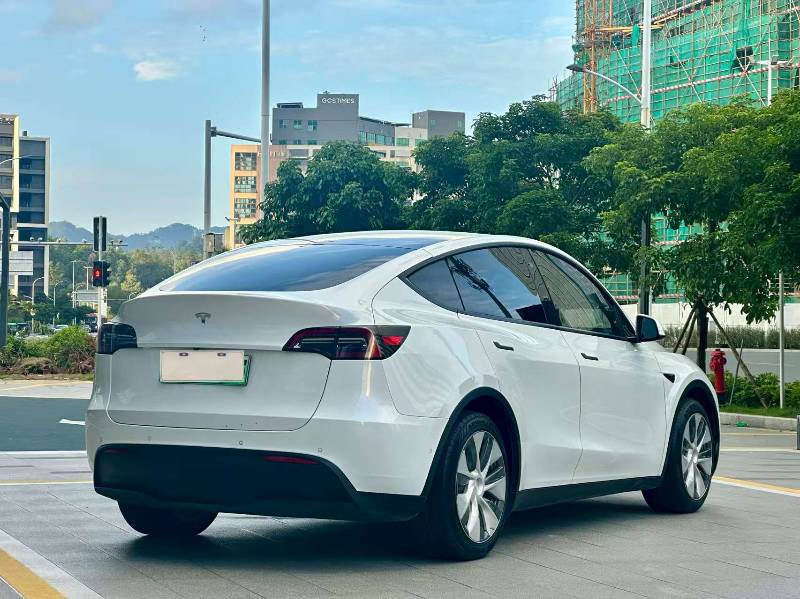 Tesla Model Y 2021 car image #8