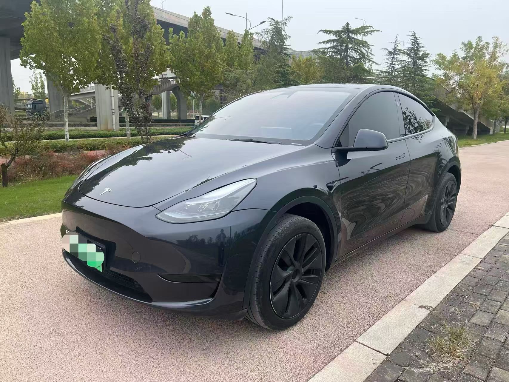 Tesla Model Y 2024 Tesla Model Y 2024 car image
