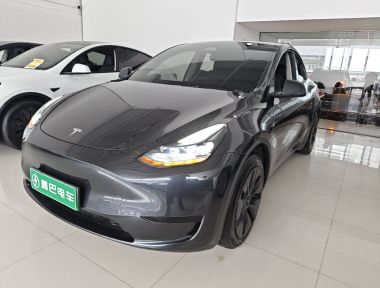 Tesla Model Y 2024 immagine di auto 