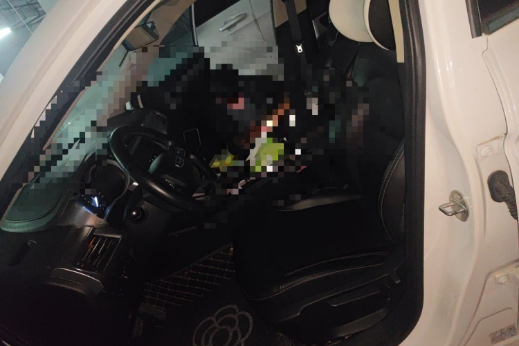 GEELY Emgrand GL 2020 car image #17