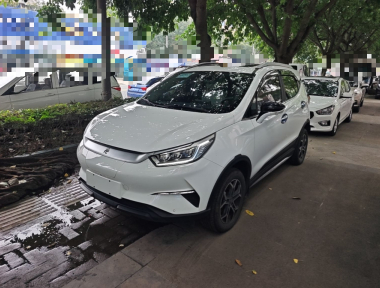 BYD Yuan Pro 2022 car image 