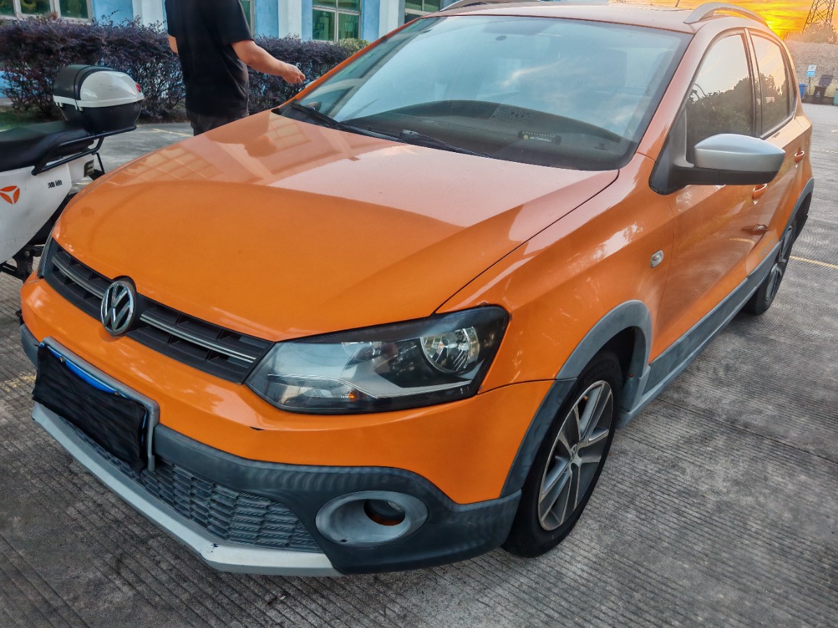 Volkswagen Polo 2013 Volkswagen Polo 2013 car image