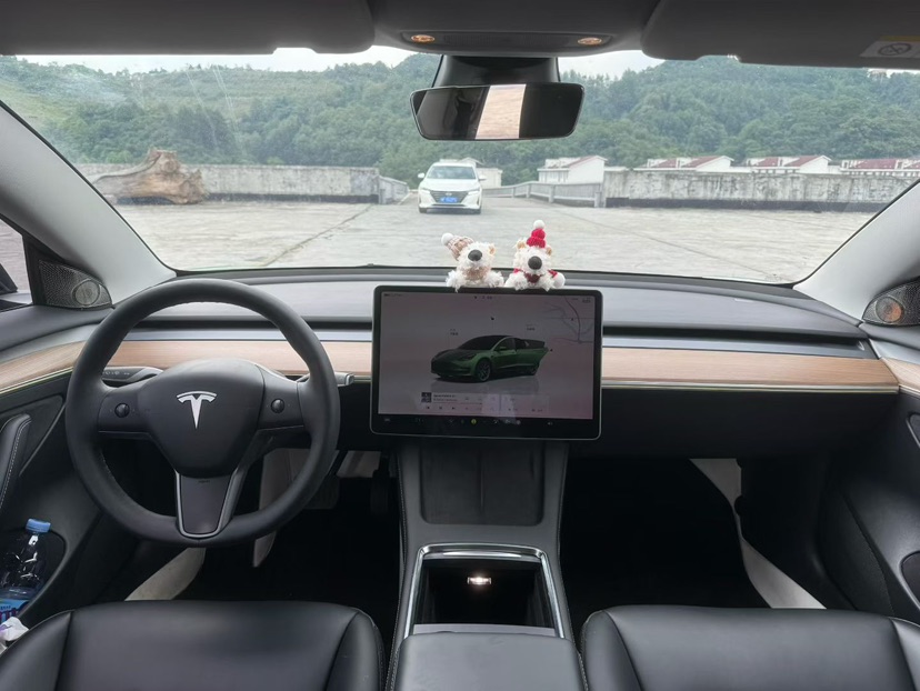 Tesla Model 3 2023 #8 Tesla Model 3 2023 car image #8