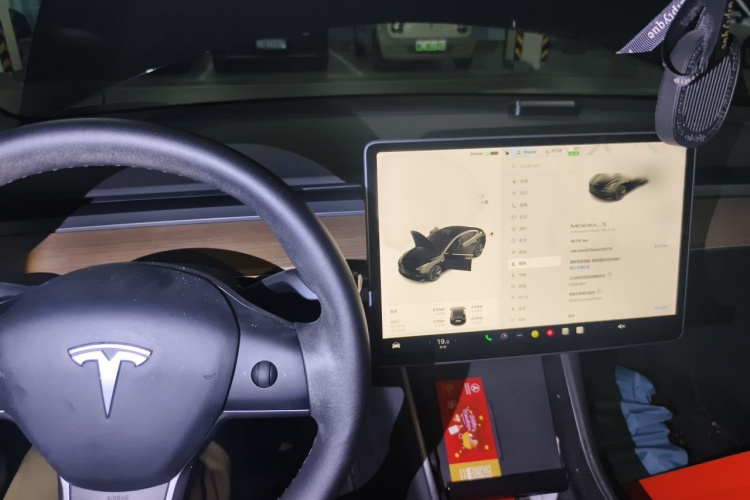Tesla Model 3 2020 car image #17