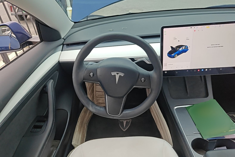 Tesla Model 3 2021 car image #11