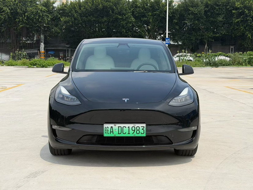 Tesla Model Y 2021 #2 Tesla Model Y 2021 car image #2