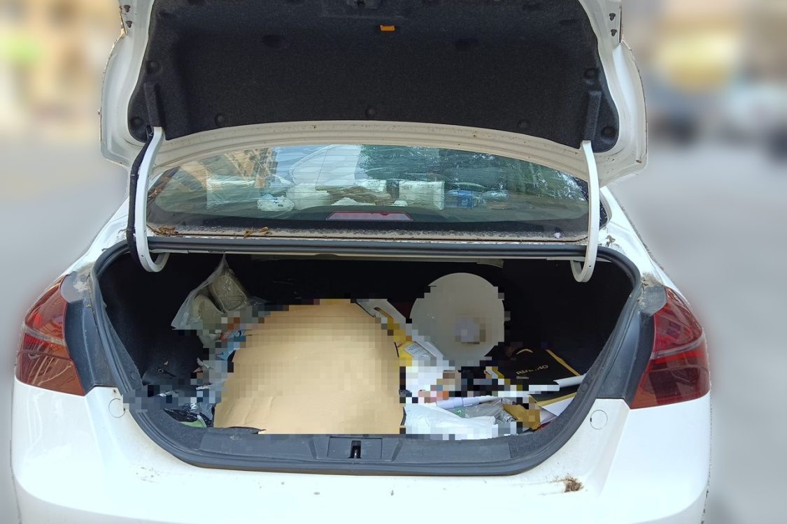 GEELY Emgrand 2020 #8 GEELY Emgrand 2020 car image #8