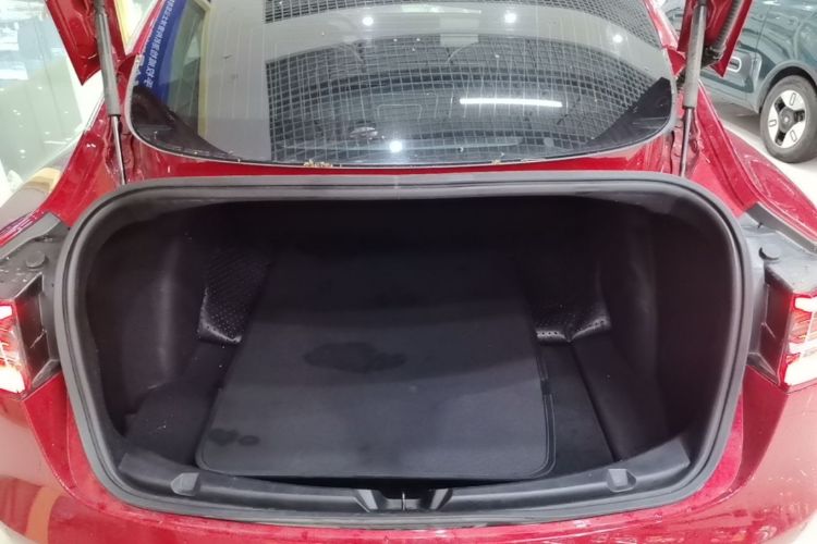 Tesla Model 3 2020 #19 Tesla Model 3 2020 immagine di auto #19