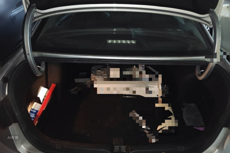 Volkswagen Bora 2020 car image #21