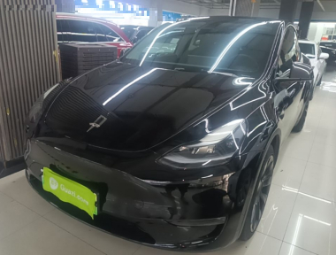 Tesla Model Y 2021 Tesla Model Y 2021 car image