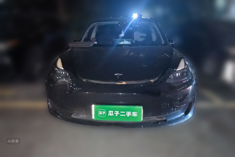 Tesla Model 3 2021 immagine di auto #3