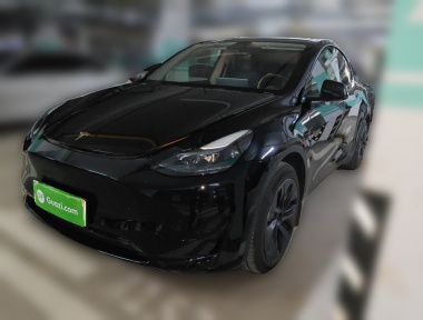 Tesla Model Y 2023 car image 