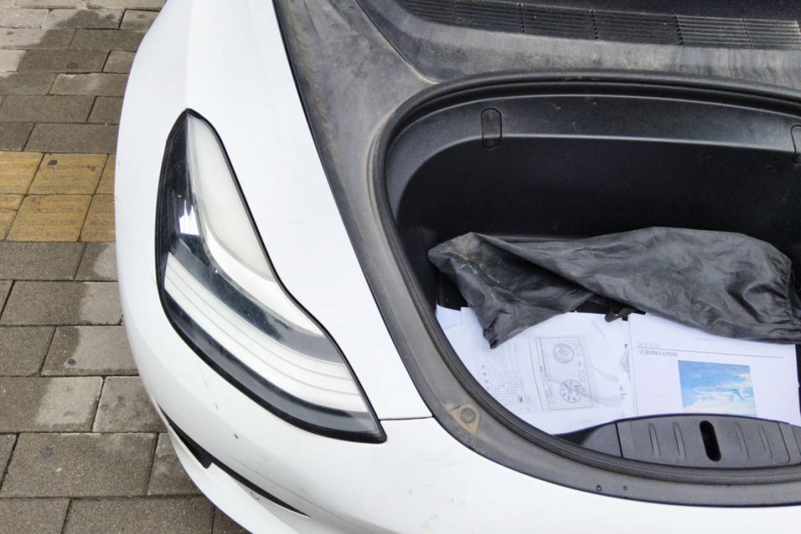 Tesla Model 3 2020 car image #11