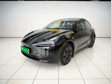 Tesla Model Y 2023 Tesla Model Y 2023 car image