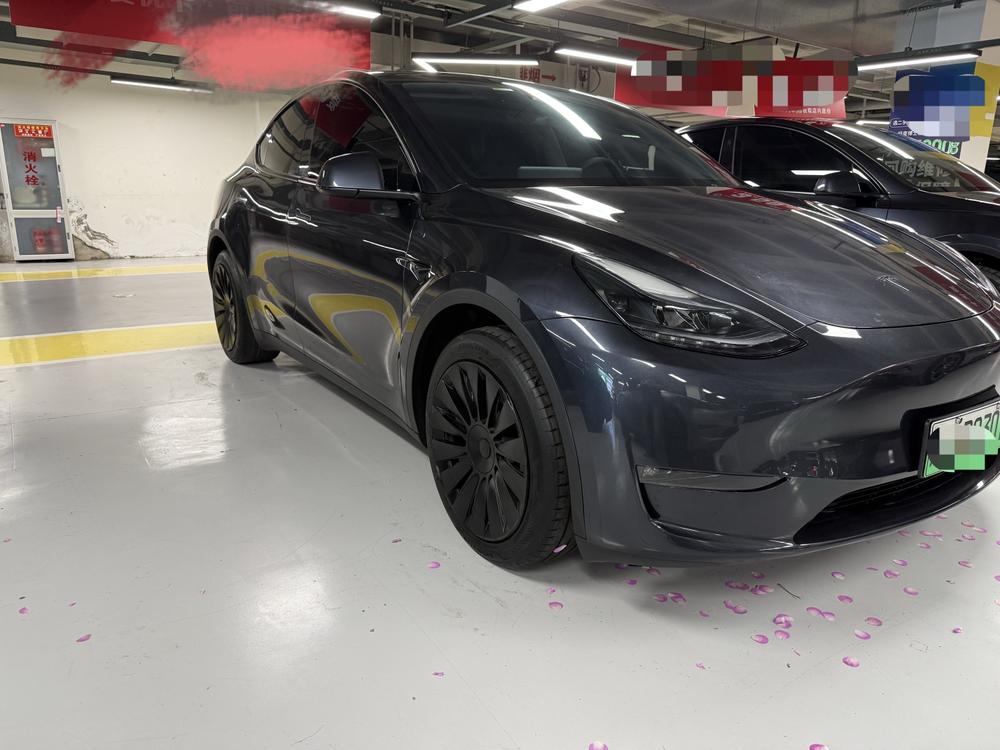 Tesla Model Y 2024 car image #3
