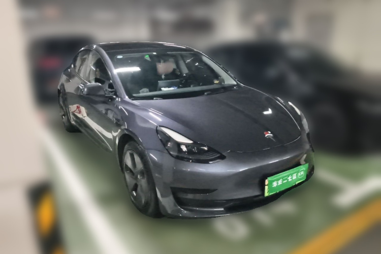 Tesla Model 3 2021 car image #4