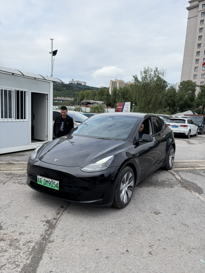 Tesla Model Y 2023 Tesla Model Y 2023 car image