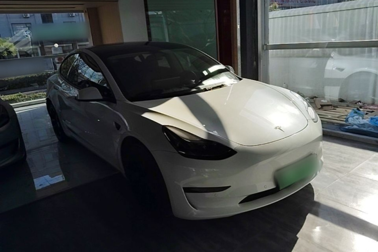 Tesla Model 3 2021 car image #4