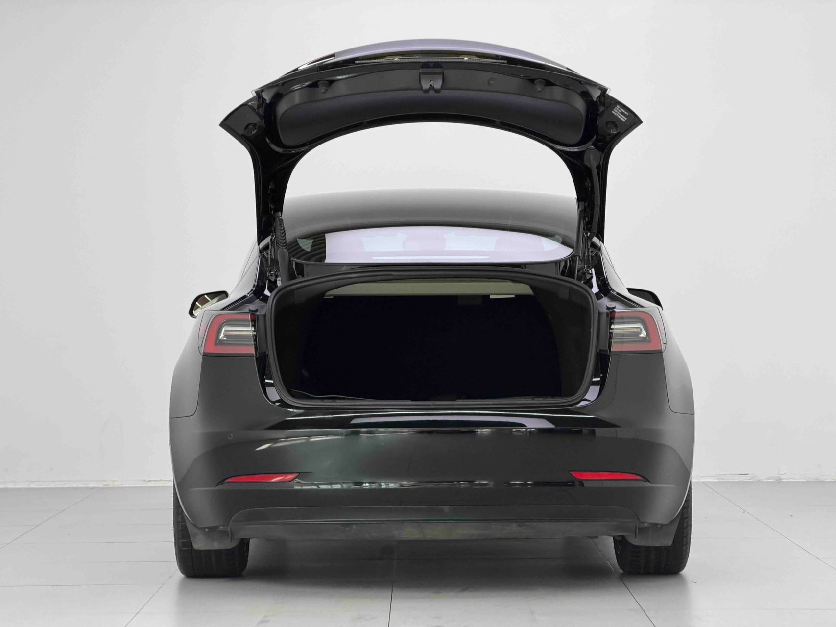Tesla Model 3 2021 #5 Tesla Model 3 2021 car image #5