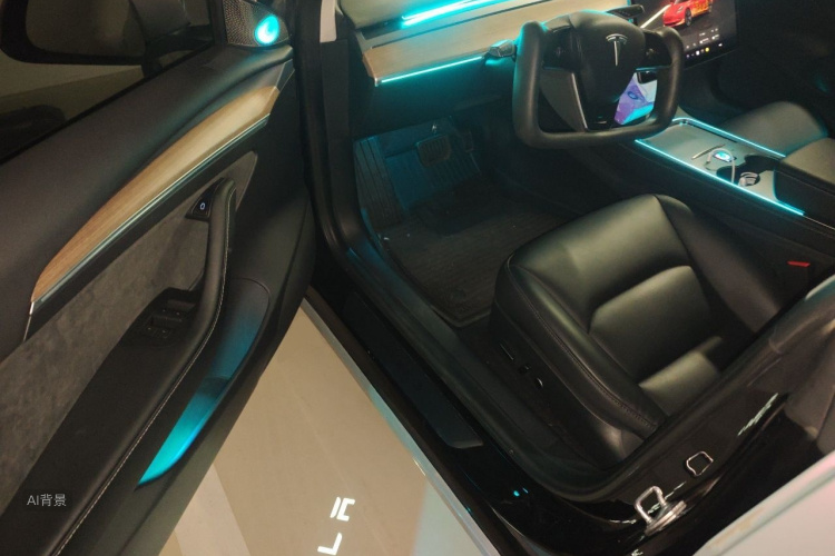 Tesla Model 3 2022 car image #18