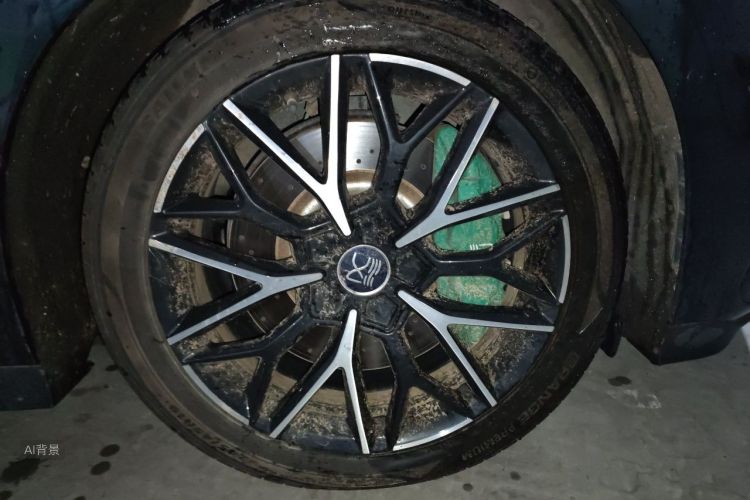 BYD Han 2022 car image #9