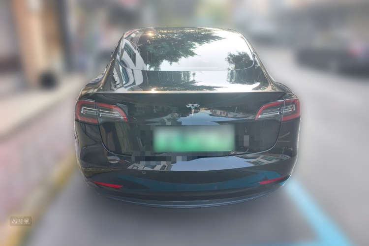 Tesla Model 3 2021 car image #6