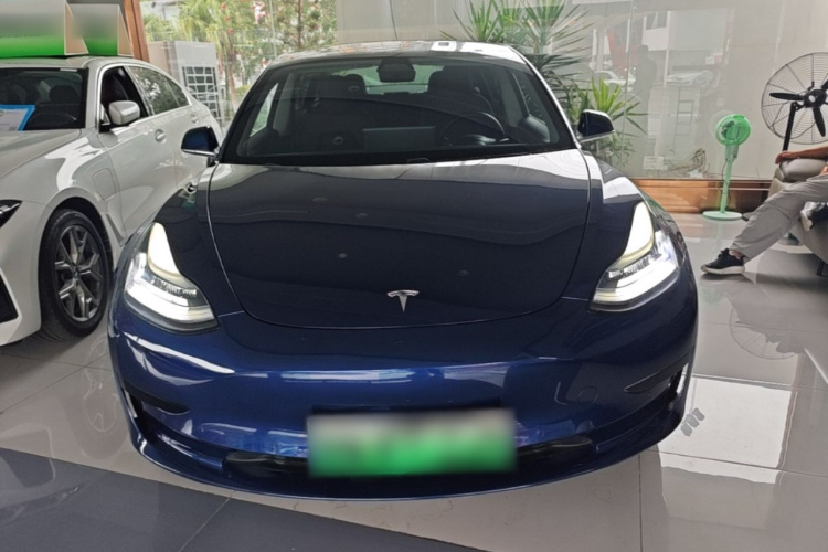 Tesla Model 3 2020 #3 Tesla Model 3 2020 car image #3