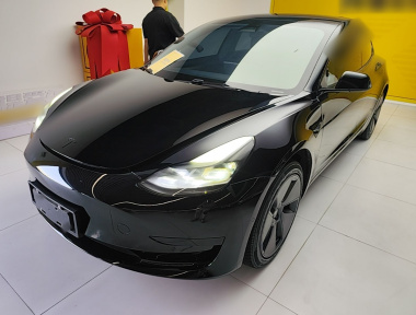 Tesla Model 3 2022 изображение автомобиля 