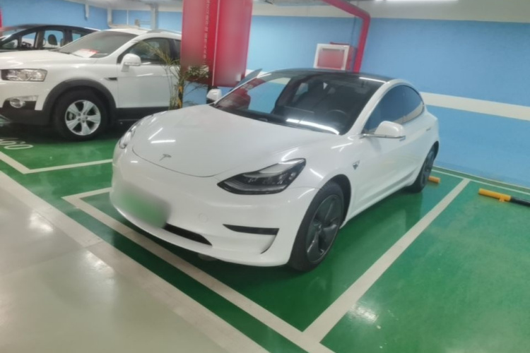 Tesla Model 3 2020 #2 Tesla Model 3 2020 car image #2