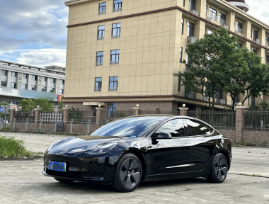 Tesla Model 3 2021 Tesla Model 3 2021 car image