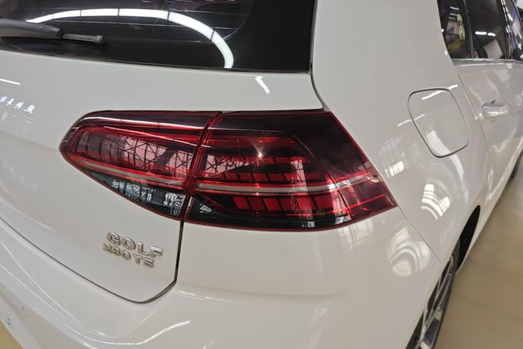 Volkswagen Golf 2019 car image #8