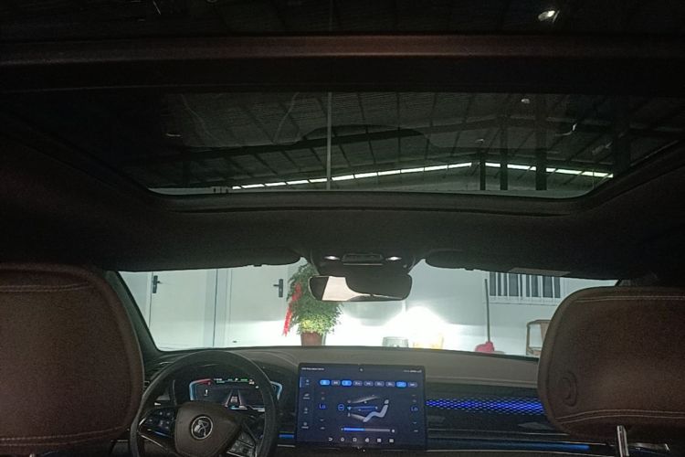 BYD Han 2021 #18 BYD Han 2021 immagine di auto #18