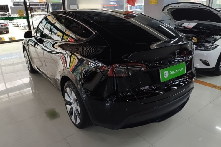 Tesla Model Y 2021 car image #7