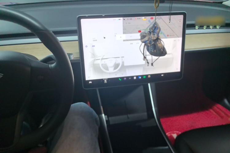 Tesla Model 3 2020 car image #10
