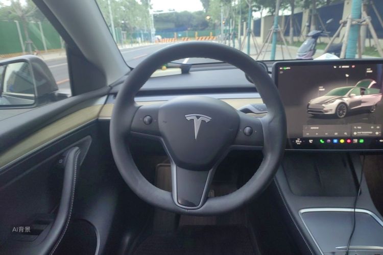 Tesla Model Y 2023 car image #12