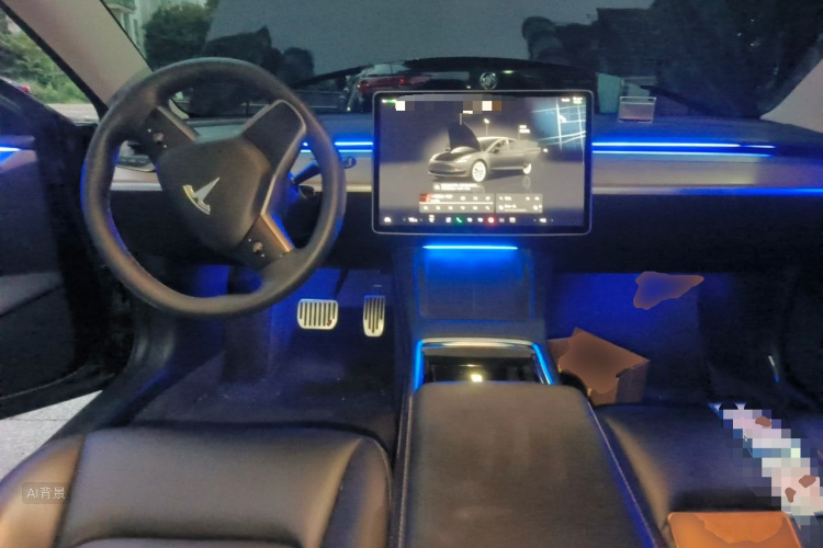 Tesla Model 3 2022 immagine di auto #11