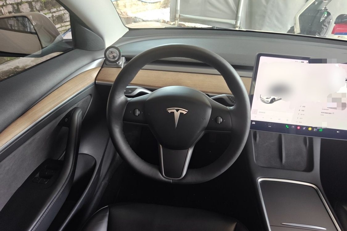 Tesla Model 3 2021 car image #24