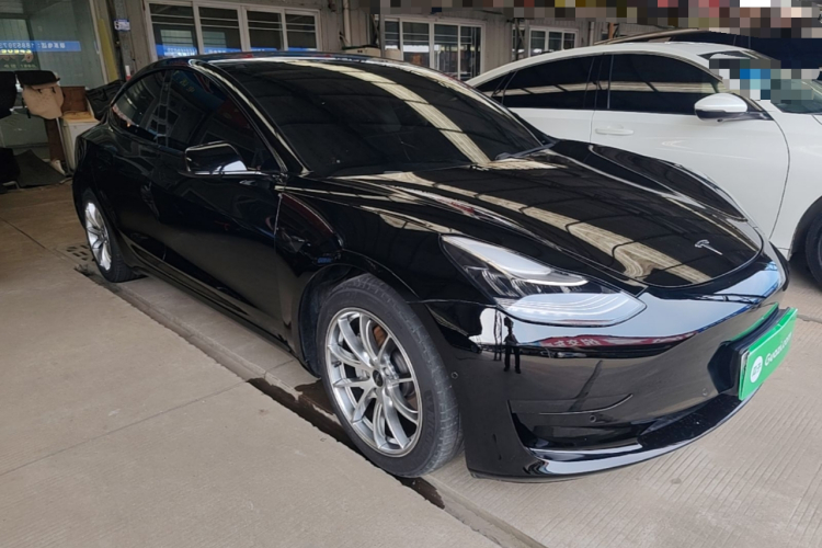 Tesla Model 3 2020 car image #6