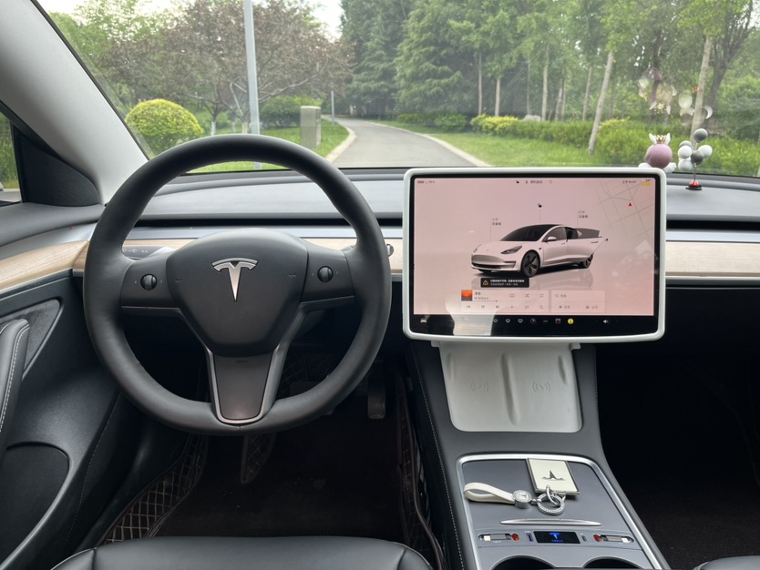 Tesla Model 3 2023 #9 Tesla Model 3 2023 car image #9