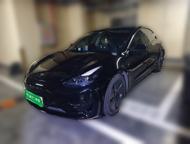 Tesla Model 3 2021 immagine di auto 