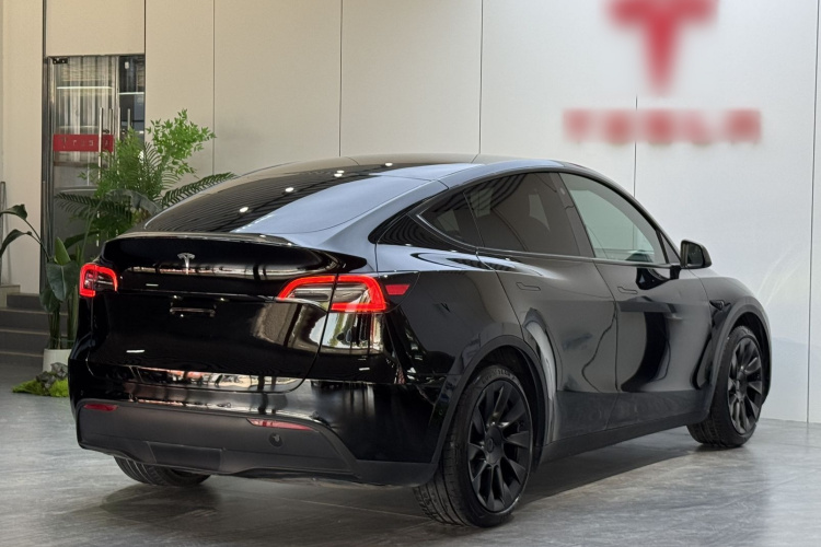 Tesla Model Y 2021 immagine di auto #7
