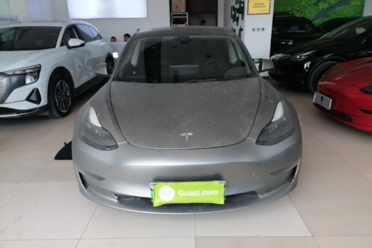 Tesla Model 3 2021 #3 Tesla Model 3 2021 car image #3
